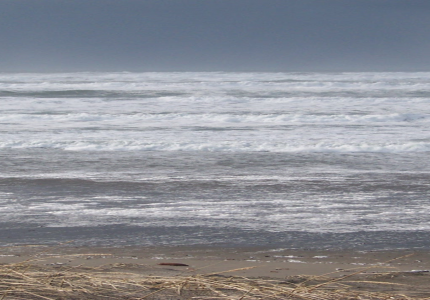 SOLVE Beach Clean Up