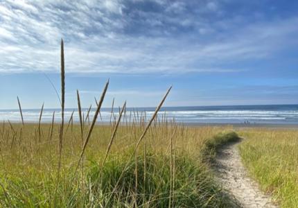 Path to the Beach
