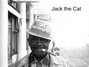 Jack the Cat