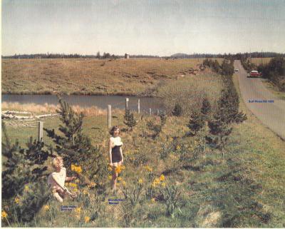 Picture of Surf Pines lane taken in 1958