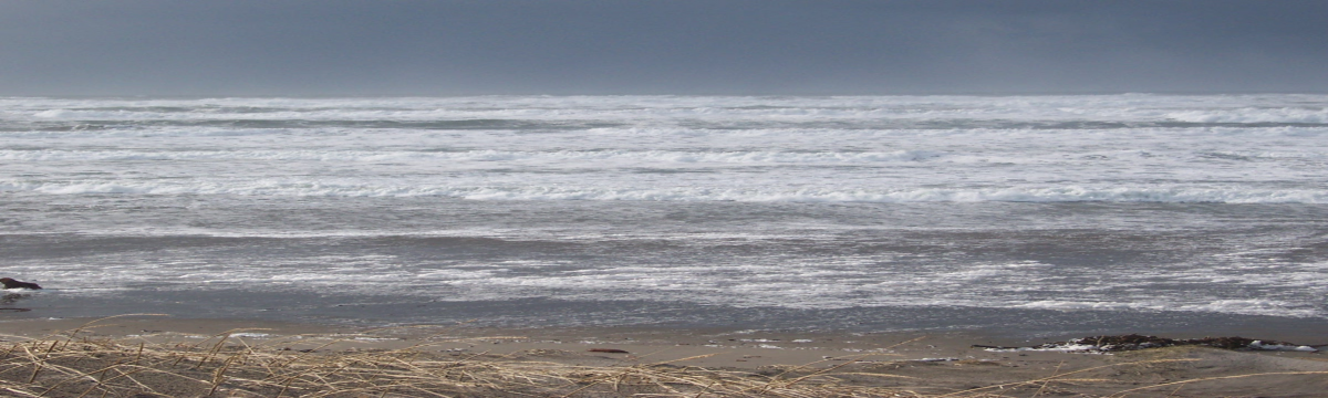 SOLVE Beach Clean Up